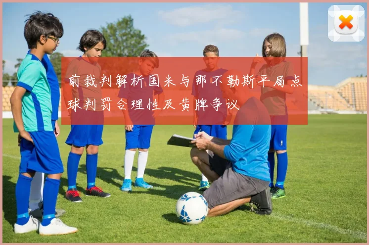 前裁判解析国米与那不勒斯平局点球判罚合理性及黄牌争议