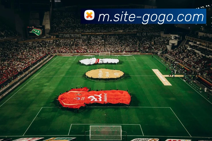 GOGO体育服务体系